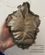 Cargar imagen en el visor de la galería, Bronze chest piece held in a hand with text on a plain background, unmounted edition #16 art
