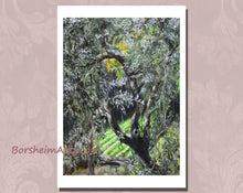 將圖片載入圖庫檢視器 Olive Tree in Campo - Fine Art Print