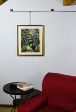 將圖片載入圖庫檢視器 Olive Tree in Campo - Fine Art Print