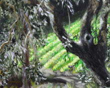 Load image into Gallery viewer, Olive Tree in Campo - Fine Art Print
