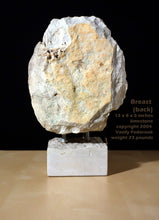 將圖片載入圖庫檢視器 Rock-like sculpture on a stand with text overlay, this is the backside of the limestone breast stone carving.