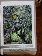 將圖片載入圖庫檢視器 Olive Tree in Campo - Fine Art Print