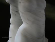 Load image into Gallery viewer, gorgeous detail in these diagonal grey or silver streaks in the Colorado Yule Marble figure sculpture by Kelly Borsheim, Detail of mineral streaks in the Colorado Yule Marble