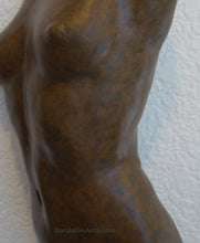 將圖片載入圖庫檢視器 Detail of the bronze torso so that you may see the soft granite-like subtle texture in the patina.  This is the silvery-bronze choice of colors.