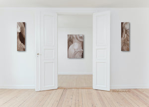 Three lovely monochromatic paintings look great on these white walls in an entryway... stunning figure art for your enjoyment.
