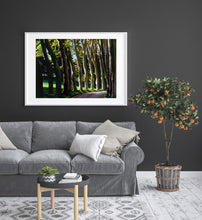 Load image into Gallery viewer, Nature fine art print of row of trees in dramatic side lighting looks great as a focal point in this neutral toned living room scene. 
