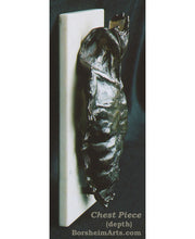將圖片載入圖庫檢視器 Chest Piece Male Nude Bronze Bas Relief Wall Hanging or Tabletop Sculpture