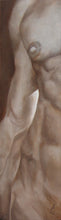 Cargar imagen en el visor de la galería, Lui (He or Him) - detail of one side of man's nude torso, showing nude breast and beautiful chiseled body, sold separately or with partner female torso Lei