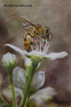 Laden Sie das Bild in den Galerie-Viewer, Harvest ~ Bee on Bradford Pear Tree Flower Oil Painting