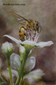 Harvest ~ Bee on Bradford Pear Tree Flower Oil Painting