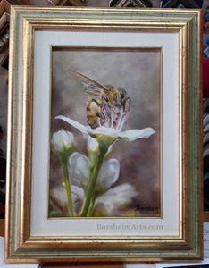 Framed Harvest ~ Bee on Bradford Pear Tree Flower Oil Painting