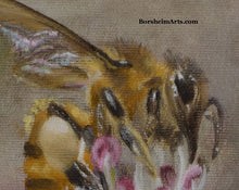 Laden Sie das Bild in den Galerie-Viewer, Detail Bee Harvest ~ Bee on Bradford Pear Tree Flower Oil Painting