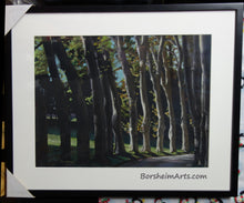 Load image into Gallery viewer, Framed Giambologna's Trees Public Garden Sculpture Florence Italy Tuscany Art pastel on black paper