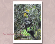 將圖片載入圖庫檢視器 Olive Tree in Campo - Fine Art Print
