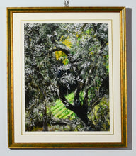 Laden Sie das Bild in den Galerie-Viewer, Fine art print of a portrait of an olive tree in Tuscany is framed with white mat, thin gold outline in the mat, and the frame is gold with a green inner section.  Lovely and bright.
