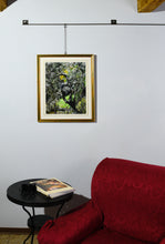 Carica l&#39;immagine nel visualizzatore di Gallery, Olive Tree in Campo - Fine Art Print
