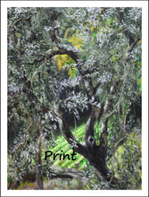 Load image into Gallery viewer, Olive Tree in Campo - Fine Art Print
