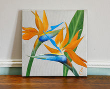 Laden Sie das Bild in den Galerie-Viewer, Each 12 x 12 gallery-wrapped canvas (meaning that the canvas wraps around the sides and framing is thus optional) of birds of paradise, an exotic tropical flower painting
