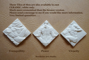 Three white tiles labeled 'Tranquillity', 'Peace', and 'Vivacity' on a brown background with promotional text.