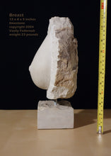 將圖片載入圖庫檢視器 Stone sculpture of a breast (profile view) with ruler, showing dimensions and weight information displayed.
