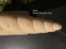 Laden Sie das Bild in den Galerie-Viewer, Top view of a shell-shaped stone carving on a dark background with text 'Shell View From the Top'.

