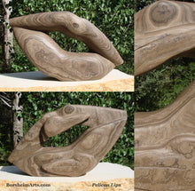 Load image into Gallery viewer, Pelican Lips Marble Sculpture like Petrified Wood Front and Back Views

