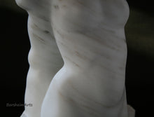 Load image into Gallery viewer, gorgeous detail in these diagonal grey or silver streaks in the Colorado Yule Marble figure sculpture by Kelly Borsheim, Detail of mineral streaks in the Colorado Yule Marble
