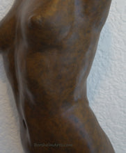 Laden Sie das Bild in den Galerie-Viewer, Detail of the bronze torso so that you may see the soft granite-like subtle texture in the patina.  This is the silvery-bronze choice of colors.
