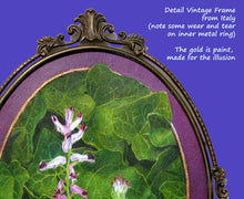 Load image into Gallery viewer, Detail of the antique Italian frame to show the curling details in the metal, as well as the top part of the trompe l&#39;oeil painting featuring green ivy leaves and the tops of the Fumaria Officinalis flower.
