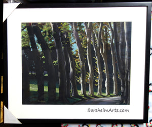 Giambologna's Trees ~ Fine Art Print
