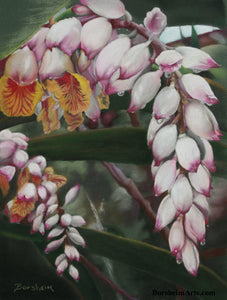 Raindrops on Shell Ginger Flowers Original Pastel Painting on Green Paper