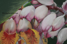 Laden Sie das Bild in den Galerie-Viewer, Detail of flowers Raindrops on Shell Ginger Flowers Original Pastel Painting
