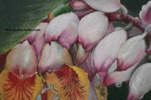 Detail of flowers Raindrops on Shell Ginger Flowers Original Pastel Painting