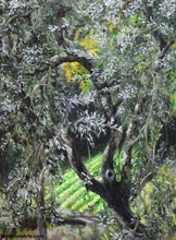 Laden Sie das Bild in den Galerie-Viewer, Olivo nel Campo Olive Tree with Farmer&#39;s Field of Greens  Acrylic Painting Nature
