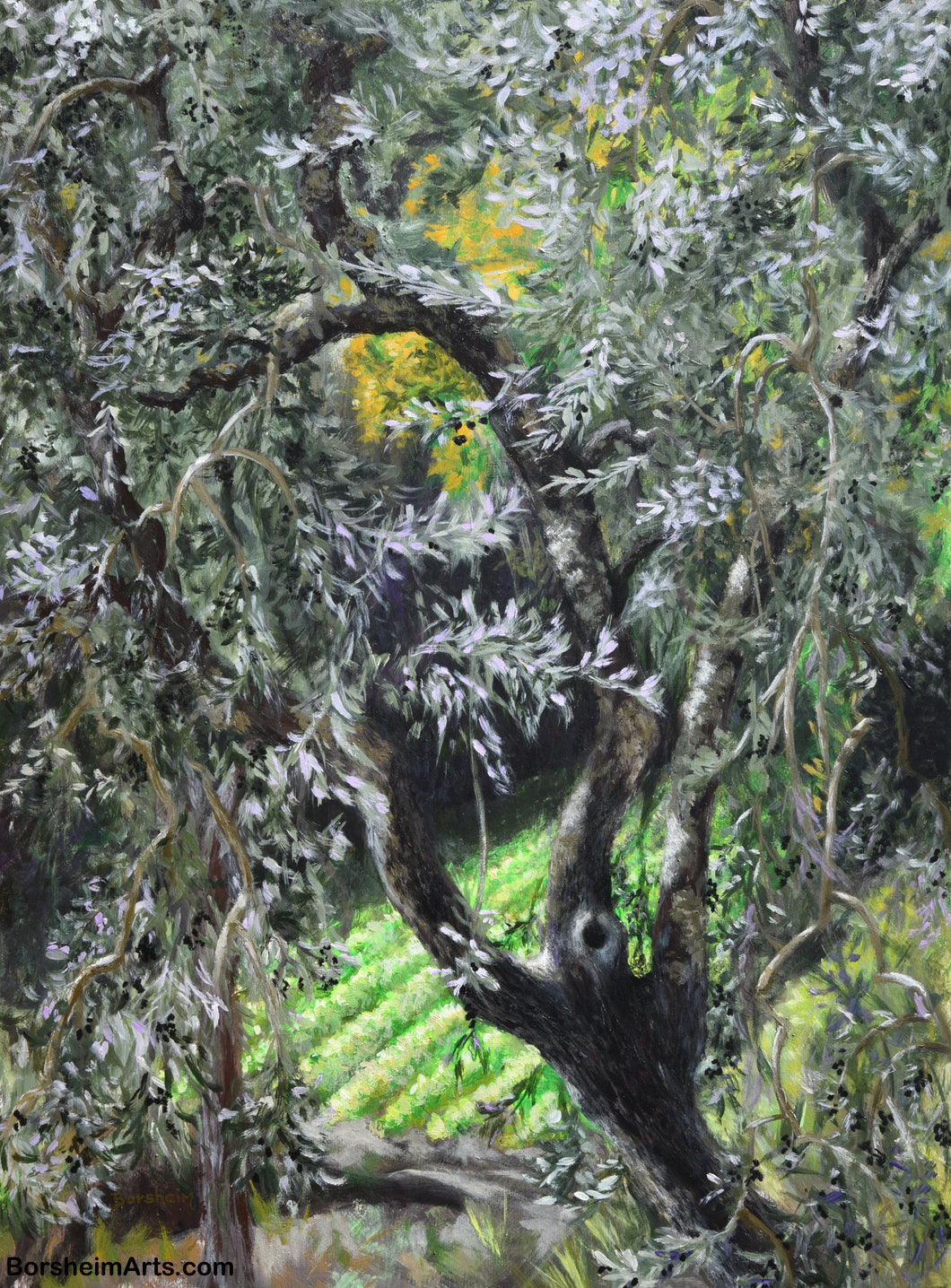 Olivo nel Campo Olive Tree with Farmer's Field of Greens  Acrylic Painting Nature