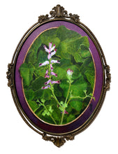 Laden Sie das Bild in den Galerie-Viewer, Fumaria Officinalis flower oil painting wildflower art with English ivy in antique Italian frame, oval and elegant for charming home decor, signed by the artist
