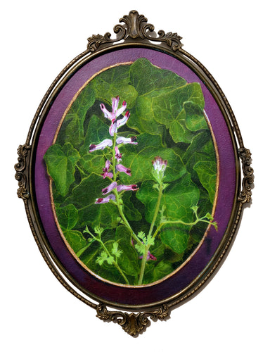 Fumaria Officinalis flower oil painting wildflower art with English ivy in antique Italian frame, oval and elegant for charming home decor, signed by the artist