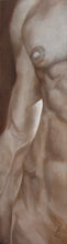 Cargar imagen en el visor de la galería, Lui (He or Him) - detail of one side of man&#39;s nude torso, showing nude breast and beautiful chiseled body, sold separately or with partner female torso Lei
