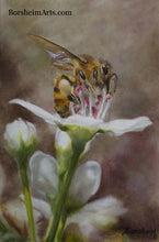 Cargar imagen en el visor de la galería, Harvest ~ Bee on Bradford Pear Tree Flower Oil Painting
