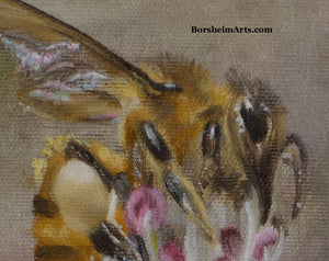 Detail Bee Harvest ~ Bee on Bradford Pear Tree Flower Oil Painting