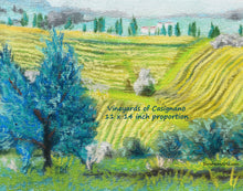 Cargar imagen en el visor de la galería, Digital Download Vineyards of Casignano Tuscany Italy Fine Art Print Olive Trees Fields of Gold and Green Landscape Digital Download Printable Art Farmers Casignano
