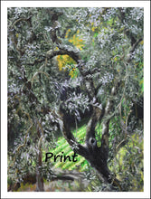 Cargar imagen en el visor de la galería, Olive Tree Art Garden in Tuscany Italy Curvy Olive Branches Outdoors Nature - Fine Art Print home or office Italy Leaves Tuscany
