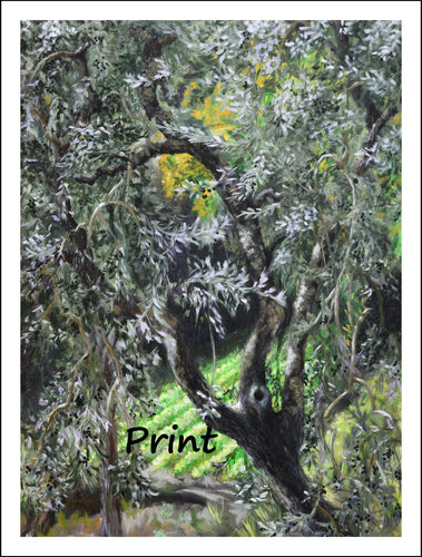 Olive Tree Art Garden in Tuscany Italy Curvy Olive Branches Outdoors Nature - Fine Art Print home or office Italy Leaves Tuscany